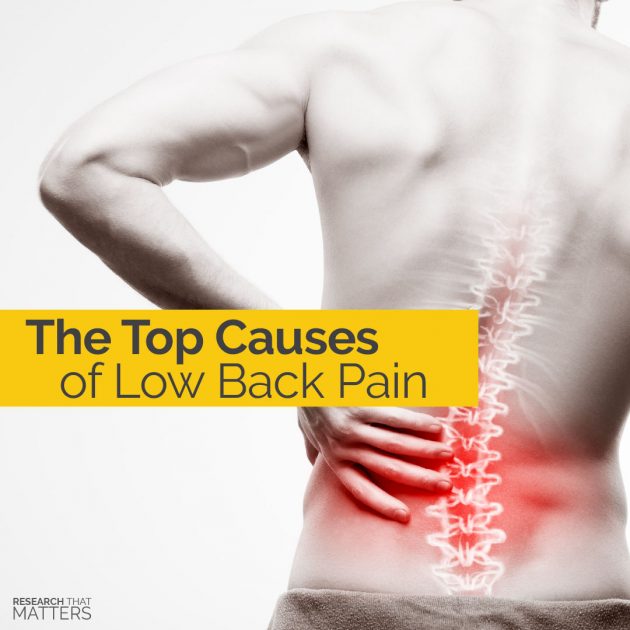 The Top Causes of Low Back Pain - Dr. Natasha Hayden - Montreal ...